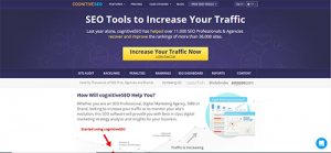Cognitive SEO provides insights into competitors' keywords, baklinks and content strategy.