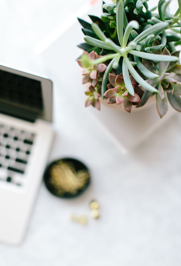 seo and website design services seo and website design services